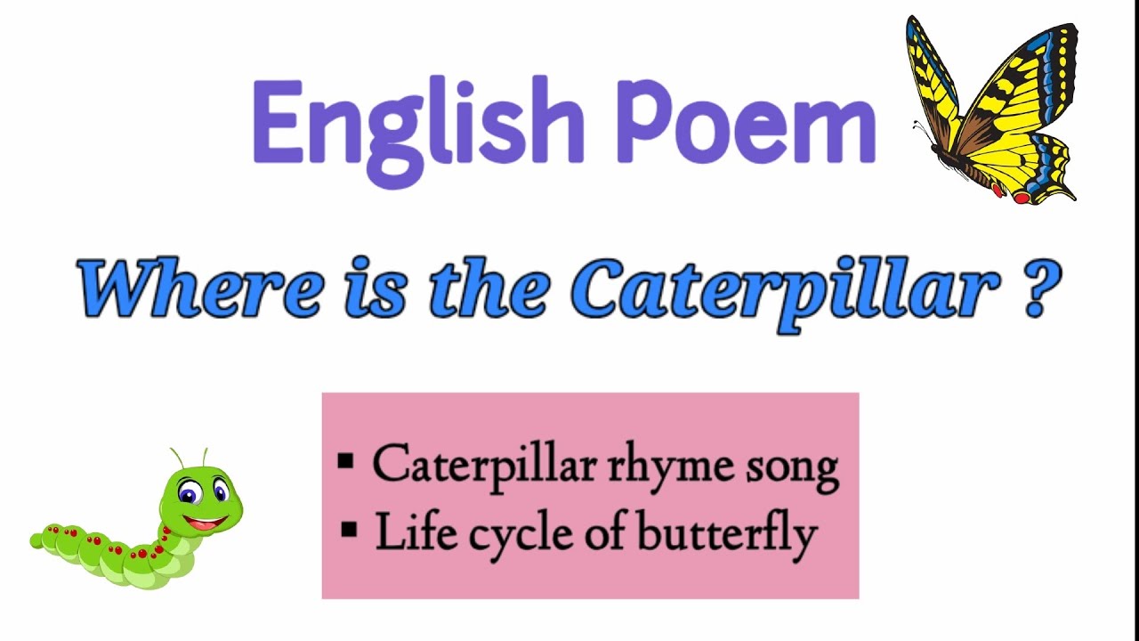 English Poem Where Is The Caterpillar YouTube english-poem-where-is-the-caterpillar-youtube
