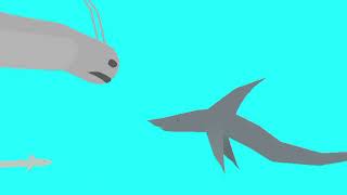Manta Takes Care Of Airplane And Aircraft Shark Requested By