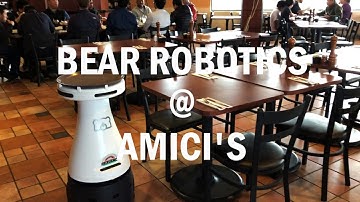 Bear Robotics @ Amici