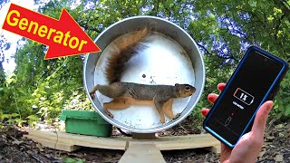 Tricking Squirrels Into Charging My Phone