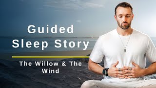 Sleep Story - Guided Bedtime Story for Adults - The Willow & The Wind