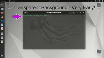 How to Customize Terminal Appearance in Ubuntu OS 22.04.1 LTS