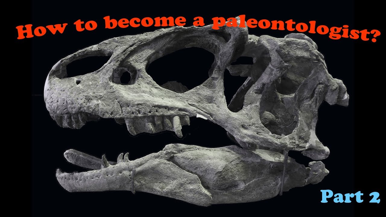 how to a paleontologist? (part 2) youtube 