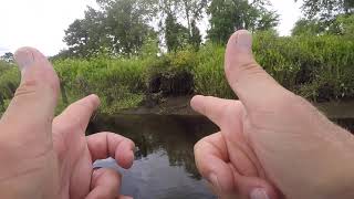 How to Read Tidal Water for Bass