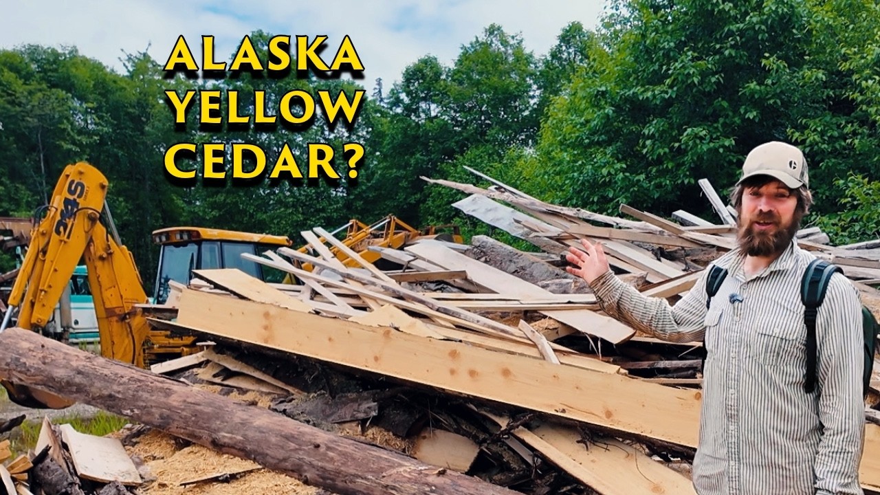 ⁣From an Alaska Sawmill to Our Sailboat
