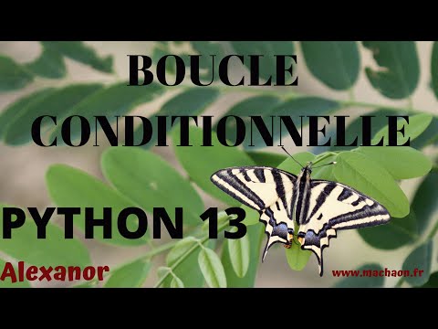 Programmation Python #13  - boucle conditionnelle