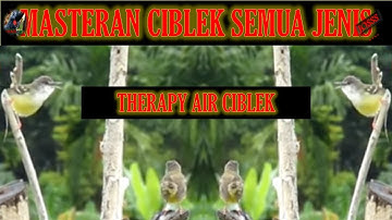 TERAPI AIR CIBLEK + MASTERAN THERAPY