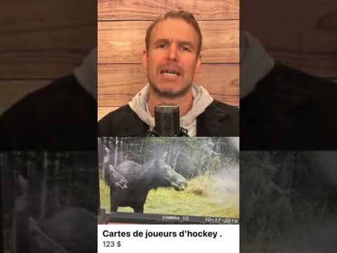Les Mooseheads gros centre
