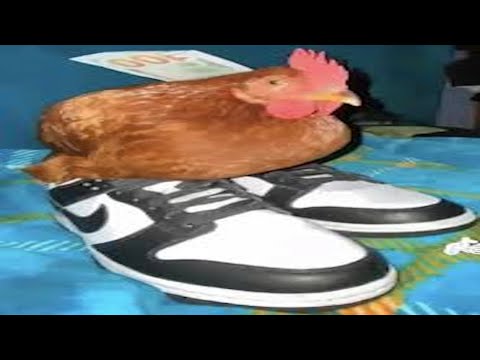 TRY NOT TO LAUGH Best Funny Video Compilation Memes PART 92