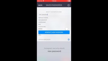 PassVult - Load and Update Password