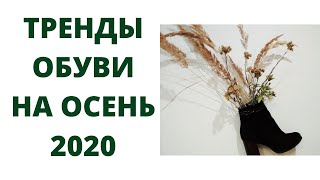 ТРЕНДЫ ОБУВИ НА ОСЕНЬ 2020 / ЧТО БУДЕТ МОДНО?