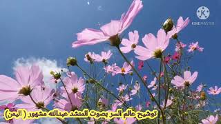 توشيح عالم السر منا للمنشد عبدالله مشهور سمعها