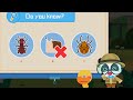 Kids Science - What Species Is Called An Insect? Butterfly And Bee - Babybus Game Video