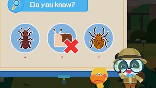 Kids Science - What Species Is Called An Insect? Butterfly And Bee - Babybus Game Video