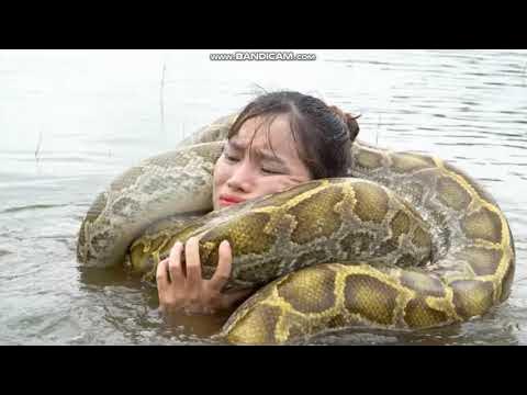 Once Again Snake Vs Girl scene ( squeeze and wrapped ) - YouTube