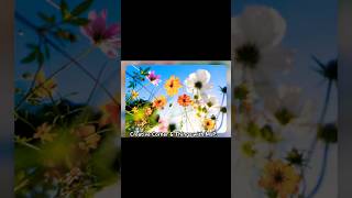 Easy Organizational &amp; Lighting Hack #DIYs #EasyHack #OrganizingHacks #IamSimplyMsP #CreativeContent