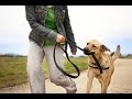 Stop Leash Biting - How To Stop A Dog From Chewing The Leash Stop Leash Biting - How To Stop A Dog From Chewing The Leash