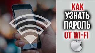 Как узнать пароль от WI-FI на Айфоне | Как посмотреть пароль от своего Вайфая