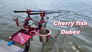 꾼의 일상 | Carp fishing vlog  | 체리피시 Dubex setter