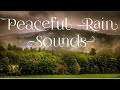 Just Relax in the lap of Nature Soothing Rain sound | Bangalore Rains Bangaluru Gentle ambiance