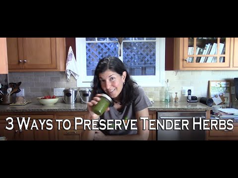 3 Ways to Preserve Tender Herbs - Cilantro, Parsley, and Basil - For Long Lasting Flavor