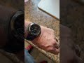 Tuna doing it right. Never let time control your happiness. #personaltime #divetimewatchreviews