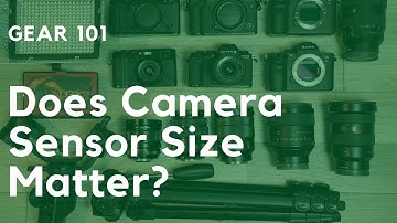 Does Camera Sensor Size Matter? Full Frame vs Crop vs 1 Inch - Sony A7 III Vs Sony ZV-1 Vs Canon M50