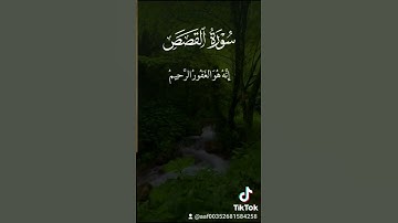 سورة القصص  آية 16   @أجملتلاواتالقرآنالكريم-ض8ظ @SaudiQuranTv @Al-Quran_Al_Kareem__FERCHICHI