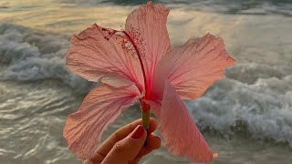 preppy aesthetic pictures