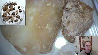 Sapphire Quest Black Springs Upper Fish River Alluvials Mine