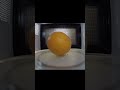 Microwave vs Grapefruit