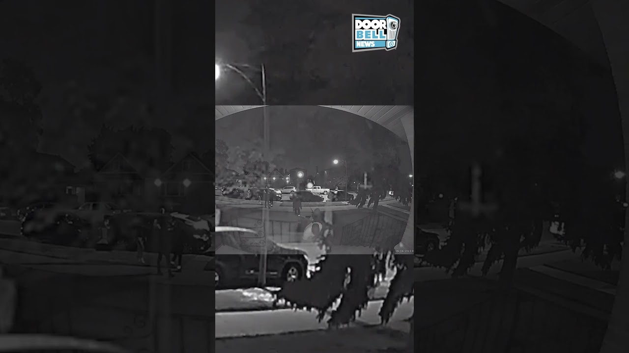 Meanwhile in Chicago... (Caught on Ring Doorbell)