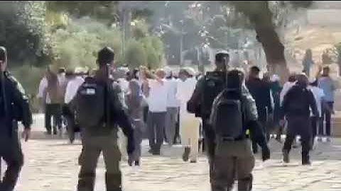 مستوطن يؤدي "السجود الملحمي" مقابل قبة الصخرة في المسجد الأقصى بحماية قوات الاحتلال.#shorts #video