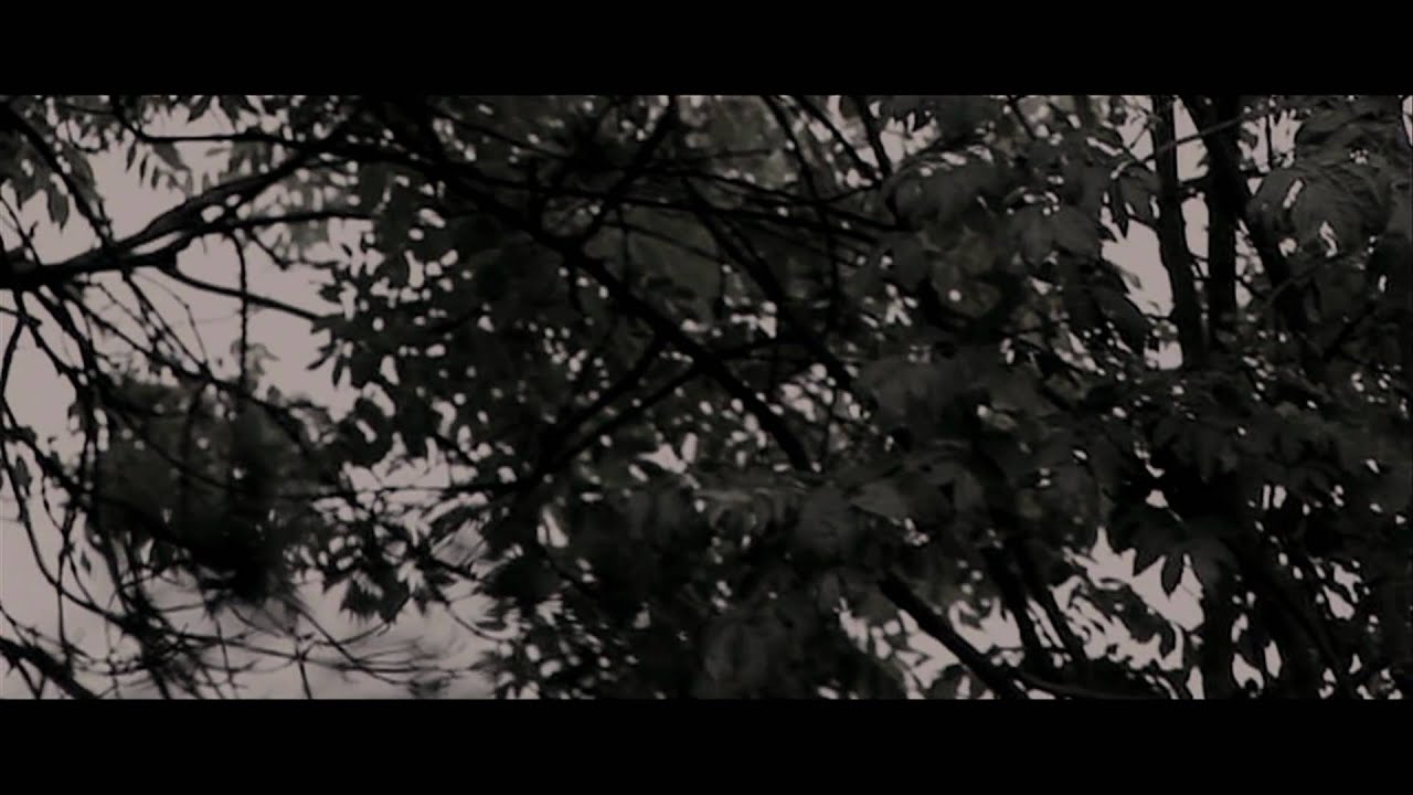 Tensheds - Stains (Official Music Video)