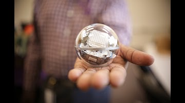 This Week on "The Hill": PVAMU and Apple