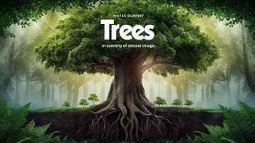 FACT #7 : Trees and Their Vital Role in Carbon Sequestration