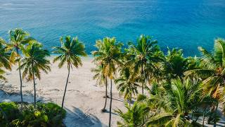 Upbeat Bossa Nova Jazz for Happy Moods 🌊 Tropical Paradise Vibes