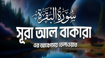 Surah Baqarah سورة البقرة | সূরা আল বাকারা। Best Emotional Quran Tilawat | Sheikh Masud