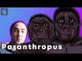 Paranthropus Evolution - Let's Talk About A Comment