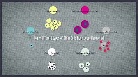 What is a stem cell? Narrated by Dr. Jim Till - DayDayNews
