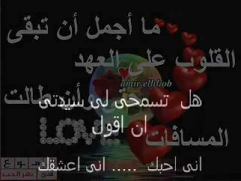 فيني رومي مش قادر سامو زين