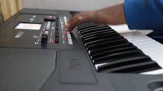 Despacito KORG PA 300 cover