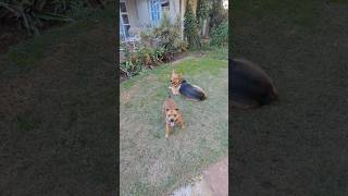 Charlie And Lucy ...