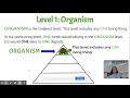 Levels of Organization in Ecosystems