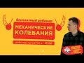 Механические колебания | ЕГЭ Физика | Николай Ньютон