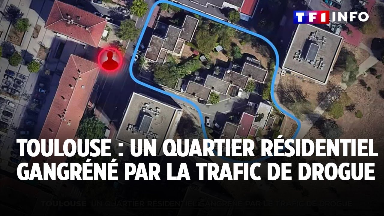 Toulouse : un quartier résidentiel gangréné par la trafic de drogue｜TF1 INFO