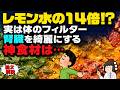 初夏の腎臓疲れをいたわる６つの食材で老廃物をガンガン排出しよう【ゆっくり解説】