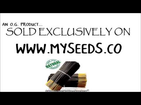 BERGAMOT & MANDARIN Incense - Premium Choice Incense By Oakland Gardens