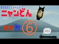 ニャンどん。第6話。【薩摩コロナ予防疲れ⁉️郷中教育いろは歌】（翻訳無バージョン）