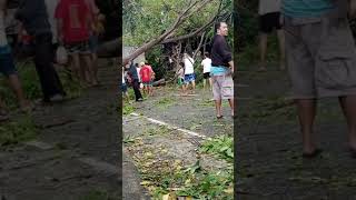 etopo ang resulta sa bagyung Odette